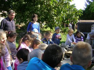 Osztálytali, kirándulás 2016 075
